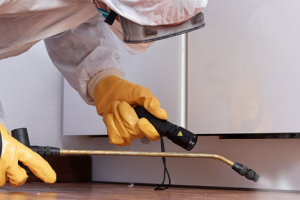 Messie Schädlingsbekämpfung Herzogenrath